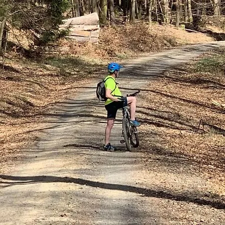 Сasa de vacaciones Lebensart In The Old Horse Stable Erndtebrück